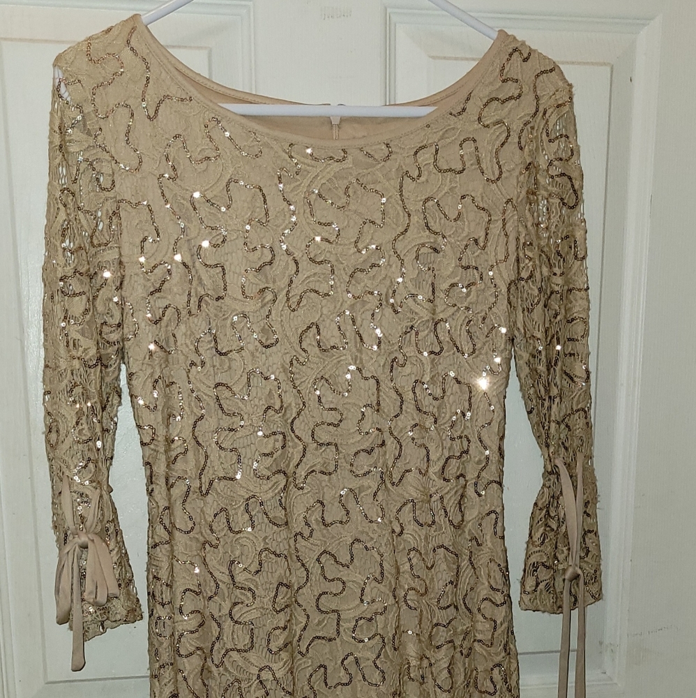 R&K Beige/Gold sequence dress 4P